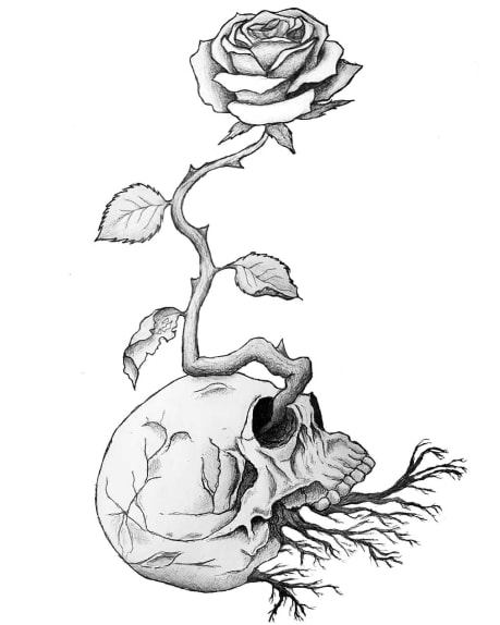 A rose growing from a dead skull.